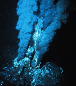 thermal vents